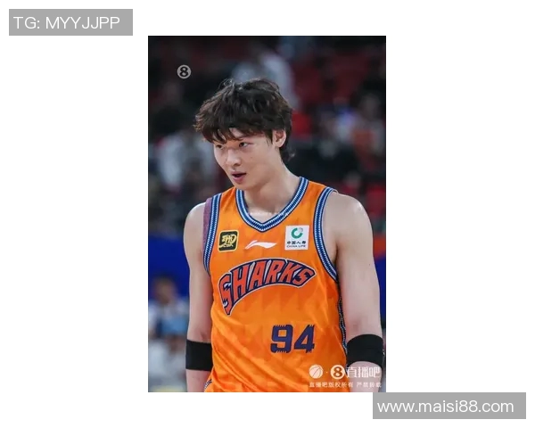 王哲林：从篮球新星到国家队核心的成长之路与未来展望