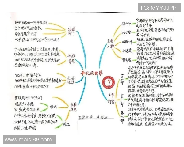 刘轩辰的成长之路：从平凡少年到璀璨明星的奋斗历程与心路历程